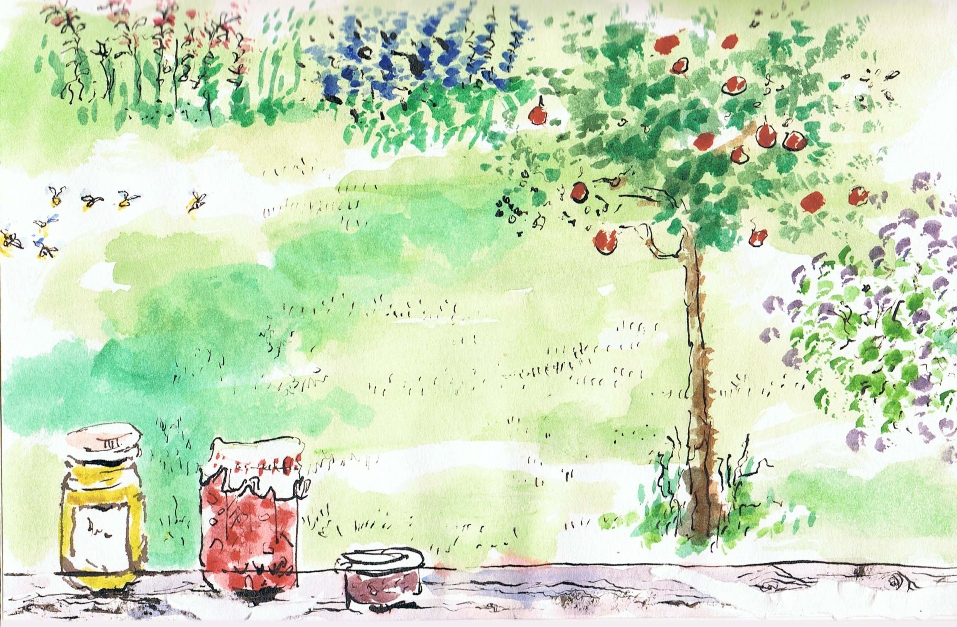 Garden article illustration