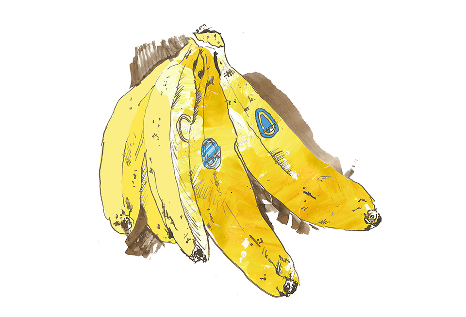Bananas Advertising Illustration