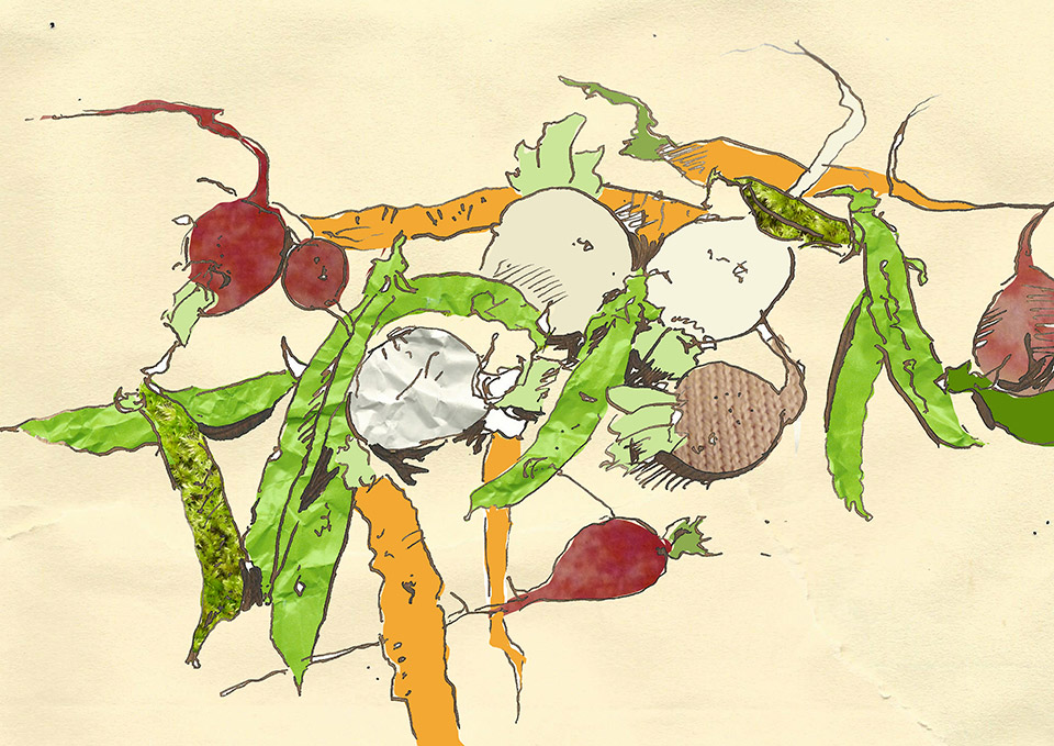 Vegetables Editorial Illustration