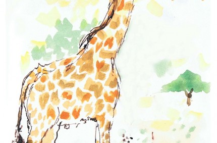 Giraffe Illustration