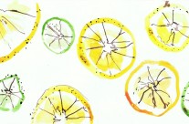 Oranges & Lemons Illustration