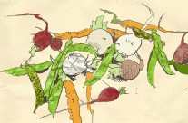 Vegetables Editorial Illustration